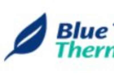 Logo Blue Tree Lins.JPG